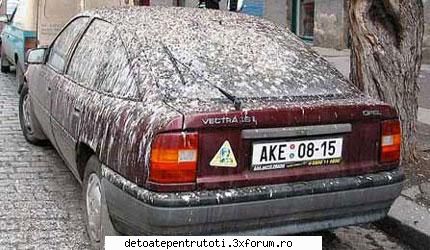 Femeia la volan ! - Click pe poza pentru zoom - CAMERA DE RAS si POZE FUNY