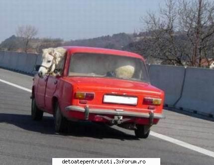 La iarba verde - Click pe poza pentru zoom - CAMERA DE RAS si POZE FUNY