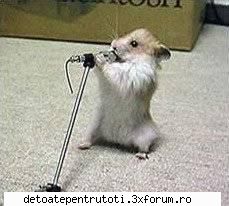 Un solist in devenire ! - Oare ce cantec o canta ? Si pentru cine ? - CAMERA DE RAS si POZE FUNY