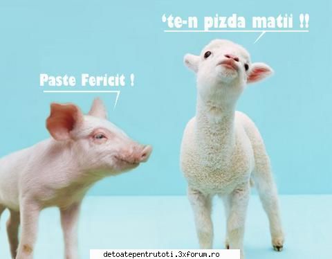 Urari " DE BINE " ! - Click pe poza pentru ZOOM - CAMERA DE RAS si POZE FUNY