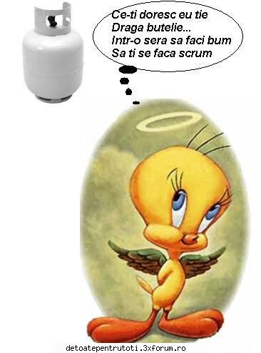 funny thing - TOt despre butelie , am o imagine , funy ! - CAMERA DE RAS si POZE FUNY